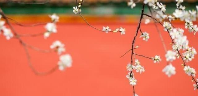 5a级景区|中国备受喜爱的三个5A级景区,去过两处不算及格,全去过才满分