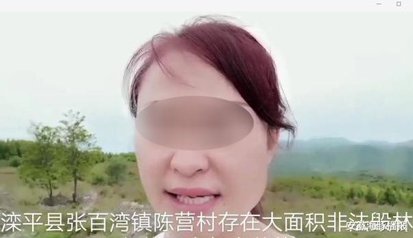 安徽海豚播报|自家林地被毁母女3人上访均被判刑，女儿：砍200棵大树认证只赔1500