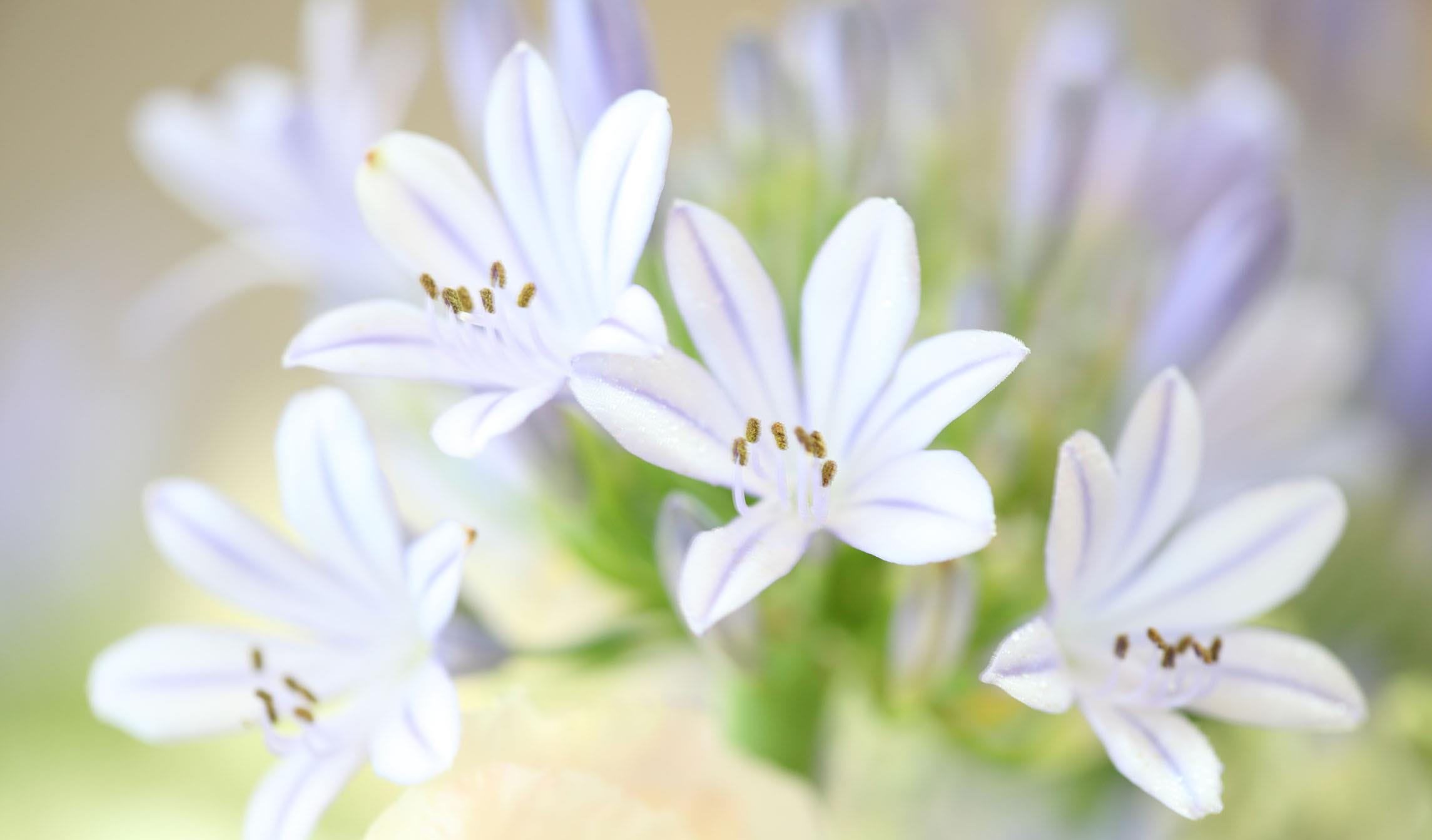 生肖|10天之内，爱意耗尽，不在纠缠，3星座拒绝麻烦，决意分手