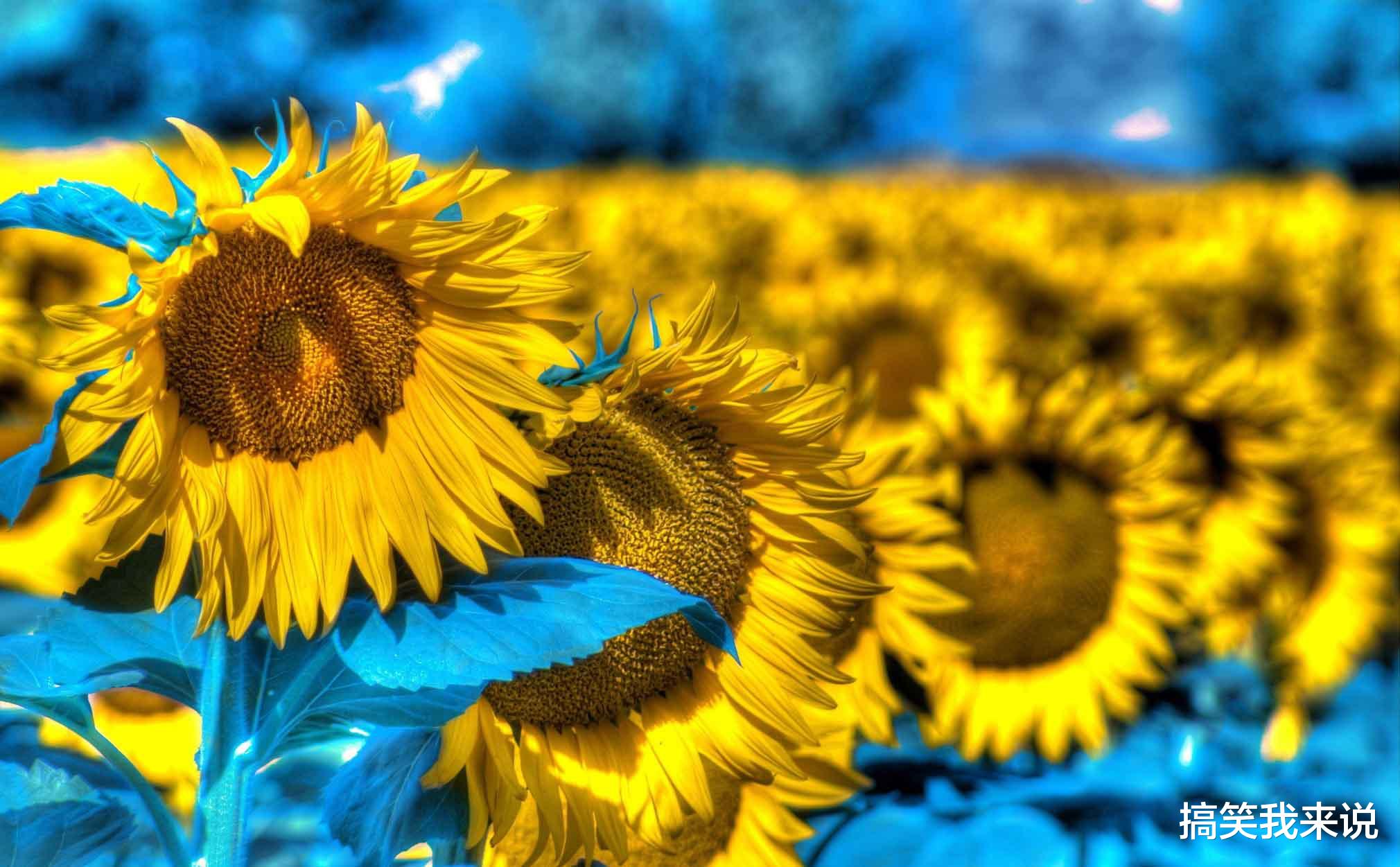 射手座|在9月份,旧爱复合四大星座,剪不断理还乱,三生情缘打不散