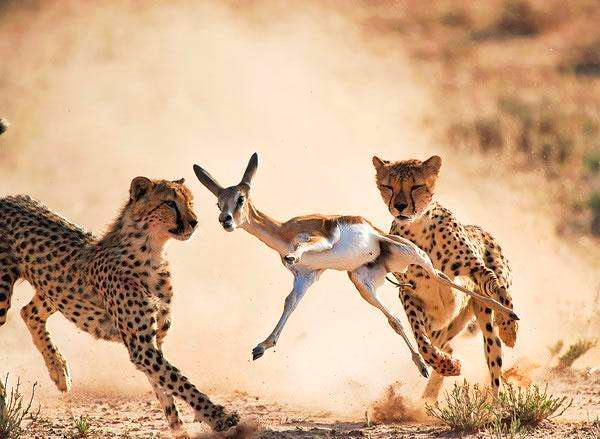 「股市」涨疯了 ！史无前例的财富大转移，来了