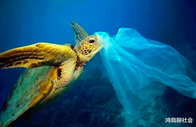 「人体试验」这是地球上唯一的一片净土，却意外发现“新物种”，科学家：难逃魔爪！