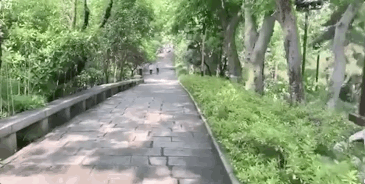 [快递]故宫今早刚开门，这一幕就戳中了我