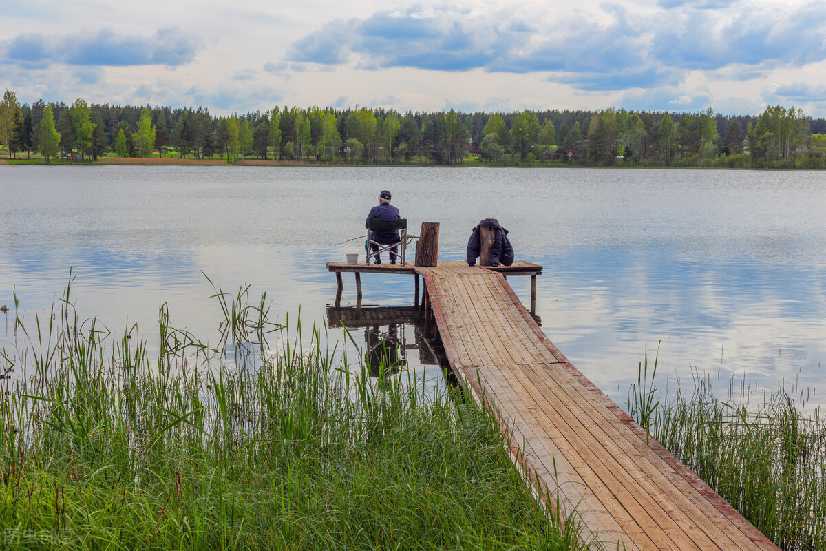 |有鱼吃钩，提竿的手法、力度和技巧缺一不可！看看大师怎么做！