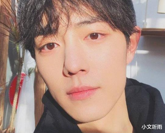 狼殿下|《狼殿下》突然定档播出，看到确切集数之后，网友：有剧追了！