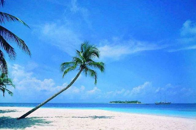 【物价】三亚旅游业遭到特大冲击,不仅游客不愿前往,就连当地人也搬走了