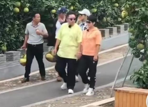 吴京|吴京于谦两家人一起摘柚子,于谦和妻子好恩爱,一直牵着手
