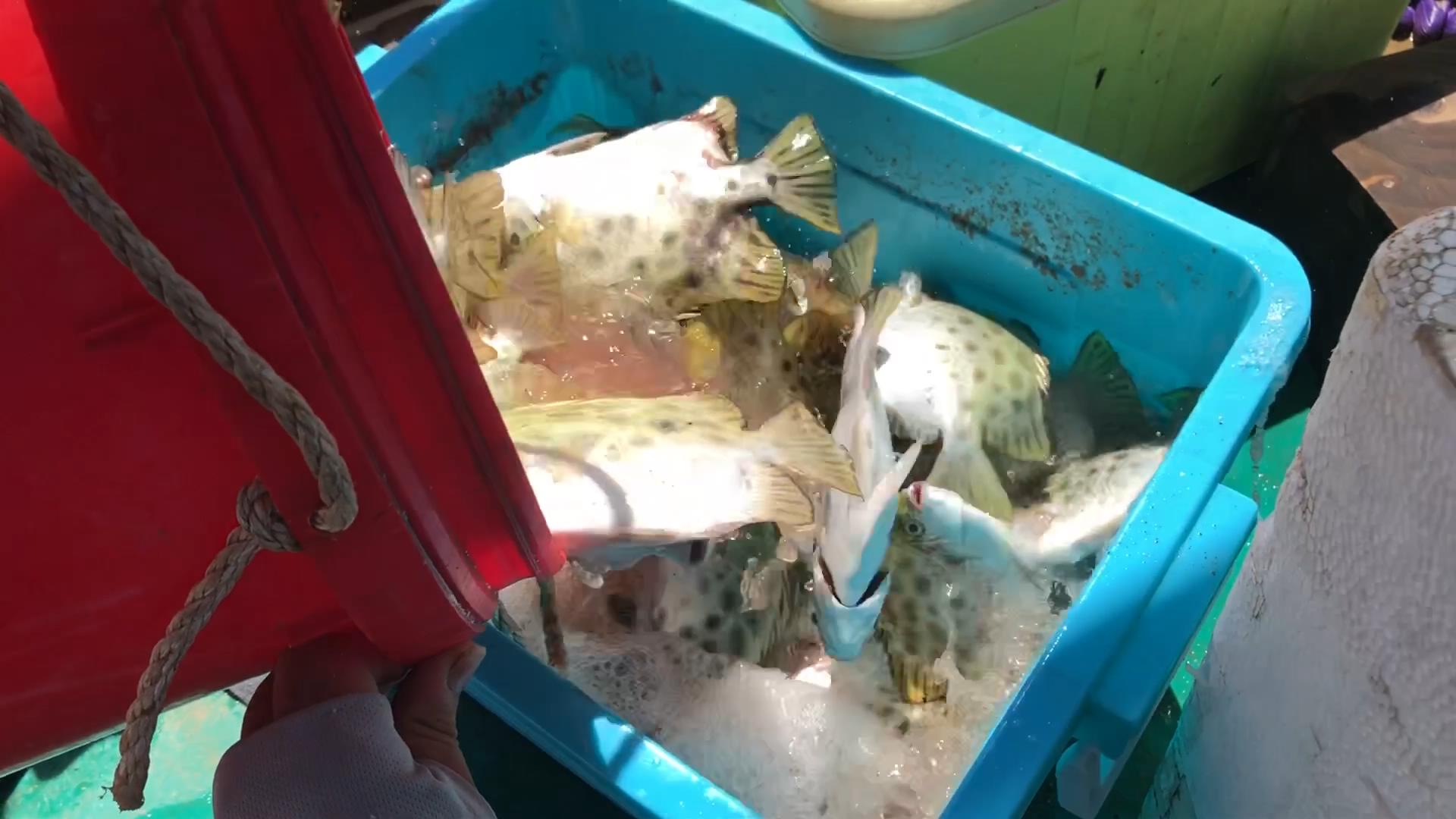 |一天钓鱼赚3000块，如果是你，会请假来钓鱼？