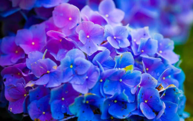 生肖|8月有贵人帮，9月有财运到，3生肖越是付出，回报越多，富贵多金