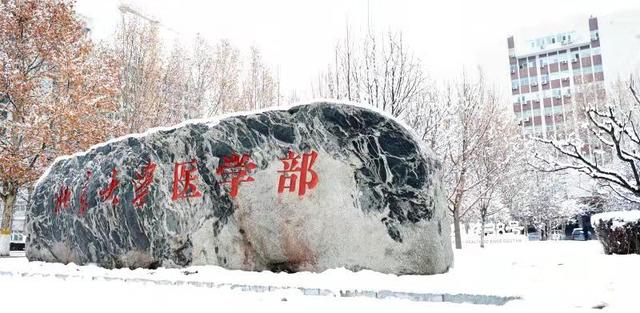 「临床医学」想学医的学生注意:这些大学在医学专业领域排名靠前!