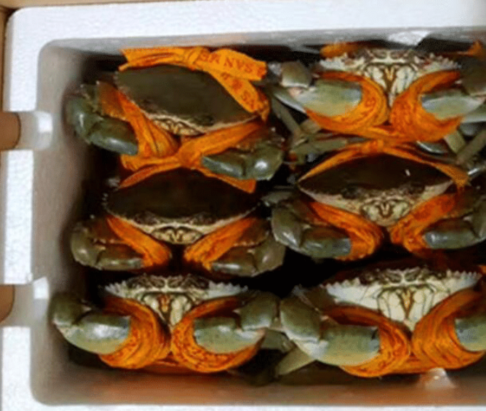 拼多多|朋友拼多多买“大青蟹”,6只花了120元,切开后:敢卖这个价?