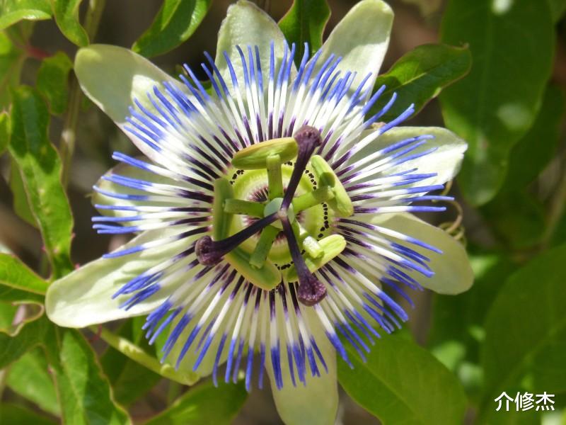 生肖@七月份底，爱意未改，情缘未尽，将和前任握手未来的4大生肖