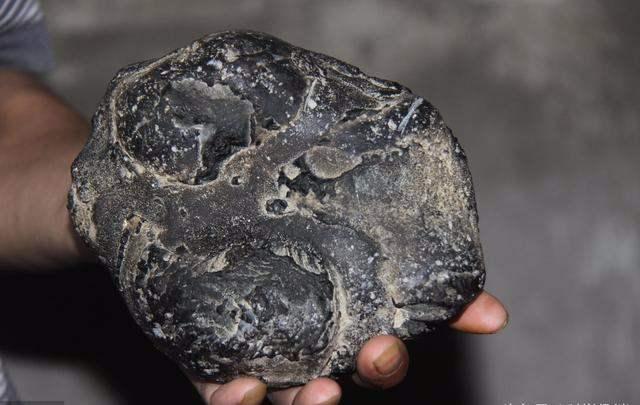 [太阳系]世界唯一被陨石砸中的人, 全国讨论: 陨石该是谁的?