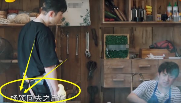 [滤镜]天不怕地不怕，就怕《向往》滤镜，青菠萝一刀切开后就熟了！