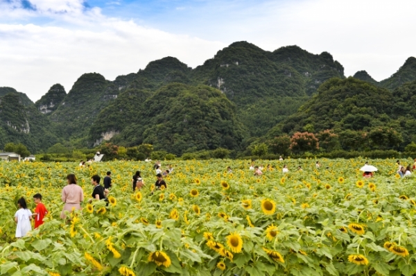 万峰林|快来看，美翻了，黔西南的网红旅游地随手一拍就是大片