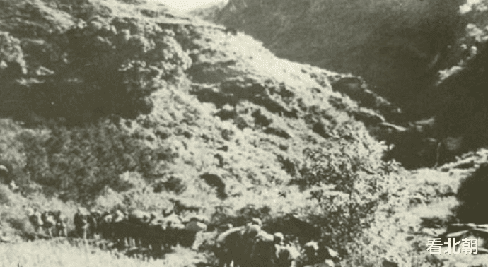 『刘伯承』国军迟迟不进伏击圈,刘伯承下令枪毙一批特务,敌师长随后就上钩