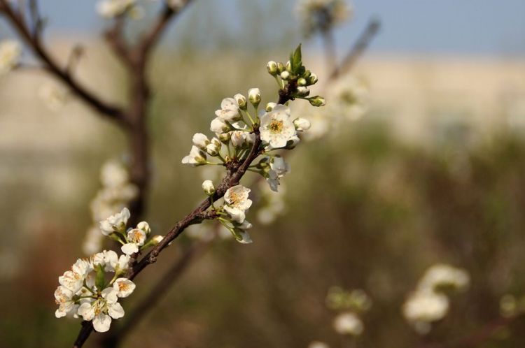 运势|九月中旬，出门撞财运！好运不断，钞票多多，运势亨通的4大生肖