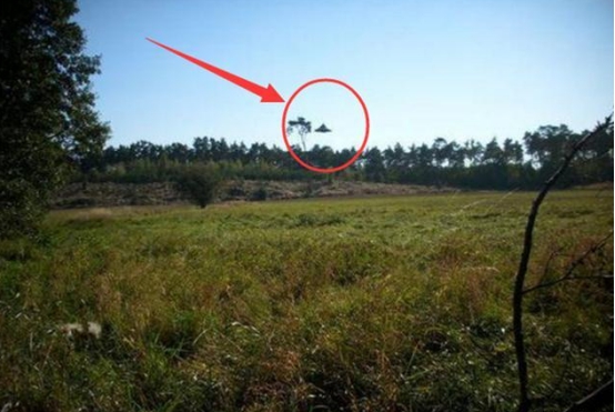 蟒蛇|不可思议！波兰男子目睹不明飞行物，拍下的UFO图片异常清晰