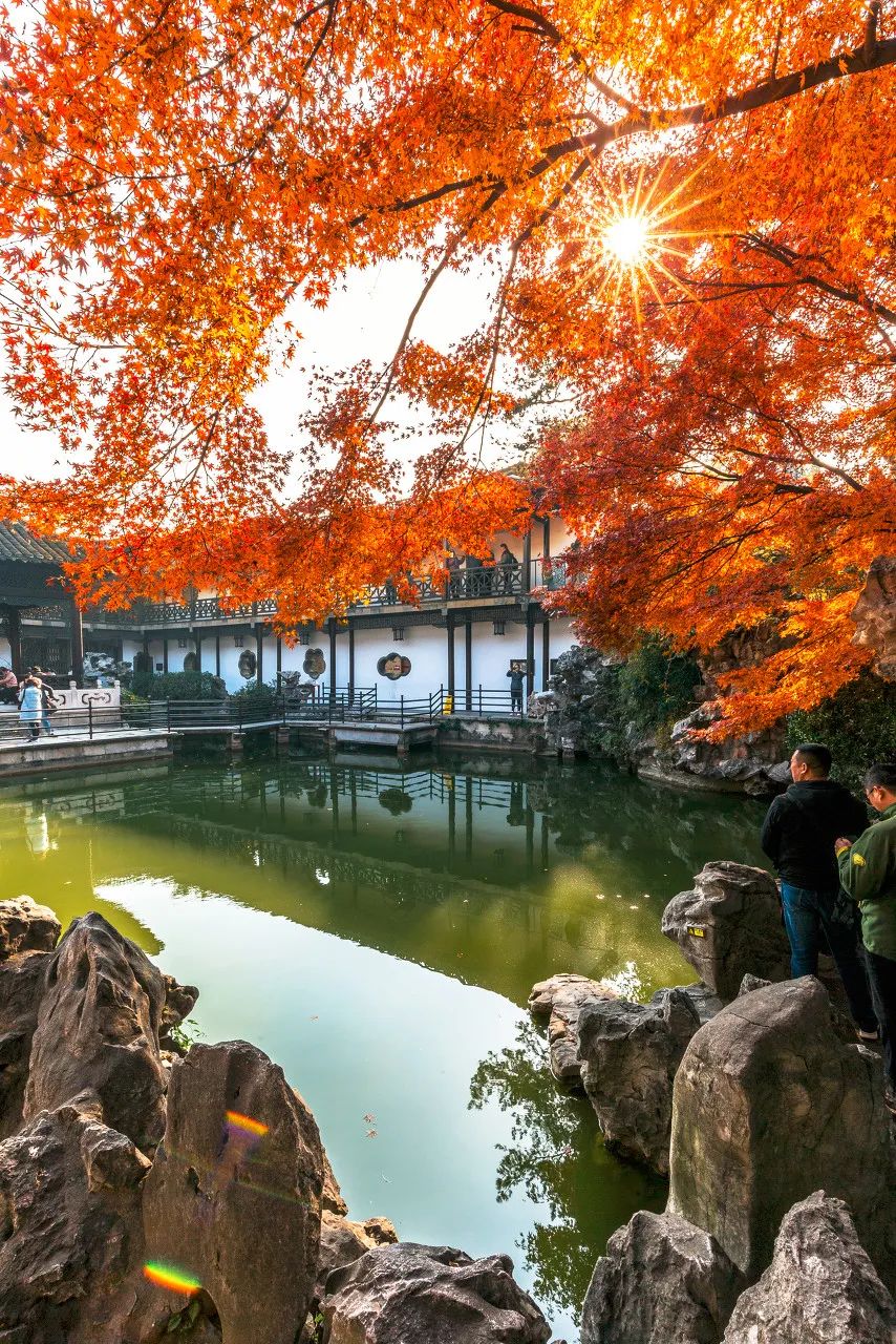 无法抗拒|比苏州秀美！原来它才是江南秋景第一，正适合去过几日慢生活！