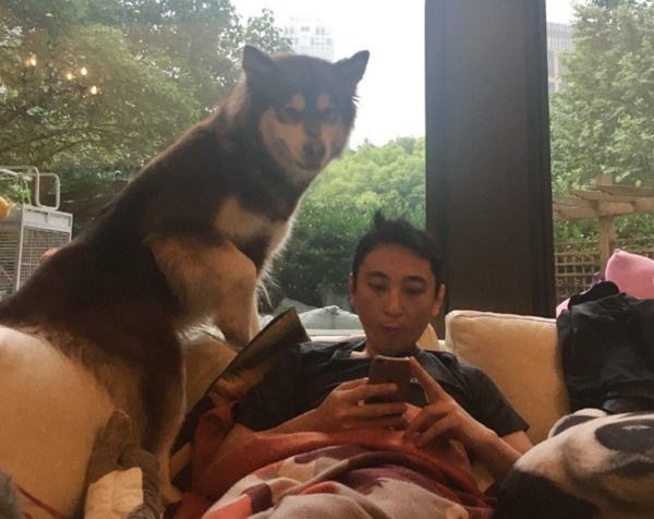 「王思聪」王思聪到底多有钱？深夜晒宠物照片，网友：羡慕嫉妒恨