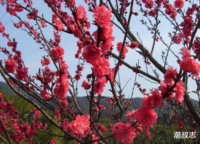 铤而走险■6月30号紫气东来，转运熬过大难，咸鱼翻身的3个生肖