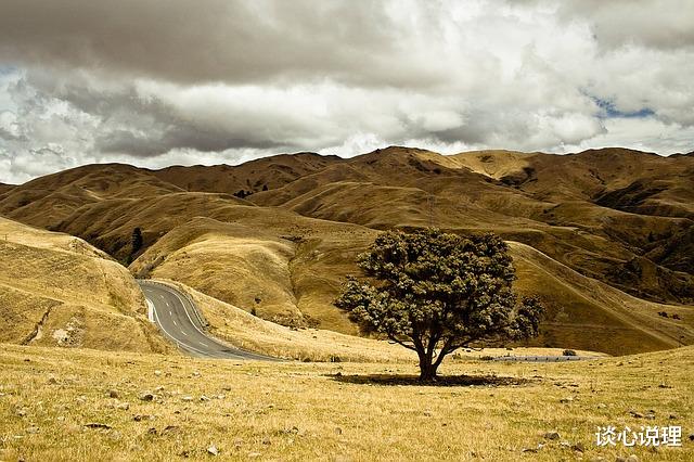 「狮子座」6月，缘分注定，真爱轮回，3星座兜兜转转，牵手旧爱，幸福永相随