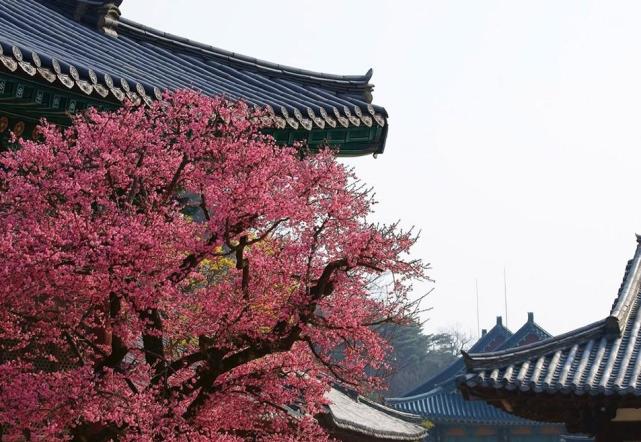 立冬|11月立冬开始，3生肖命星顺兴，不缺机缘不缺财禄，闷头发大财！