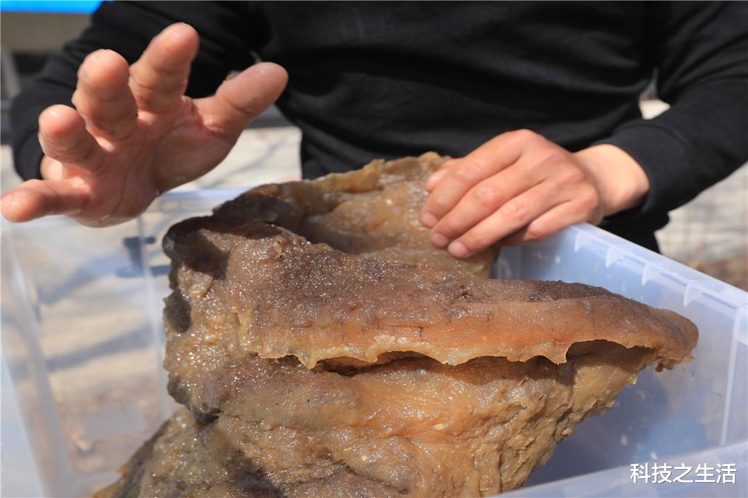 秦始皇|秦始皇毕生都在寻找的东西，却被一个男子捡到了，永生是真的吗？