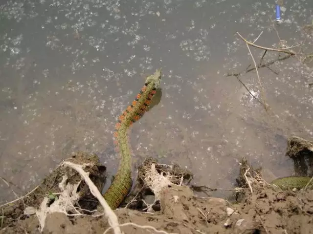 【】野外垂钓，切忌不要有“七个急”