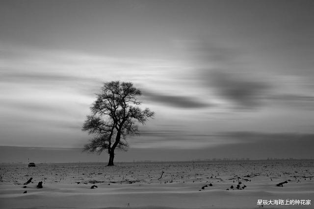 ##人死去的一瞬间，从科学角度讲：他知道自已经死去了吗？