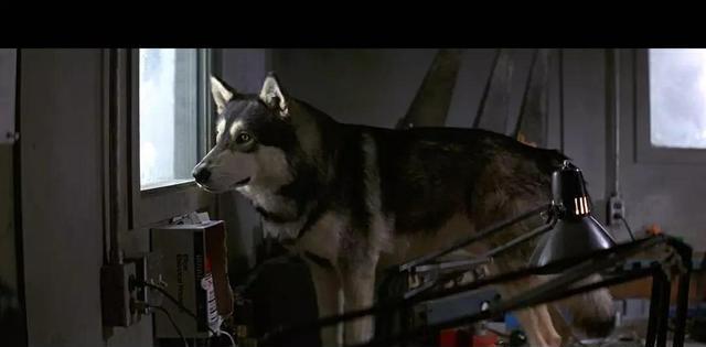 外星生命■人类炸开南极冰层，神秘生物逃出，想将人类取而代之