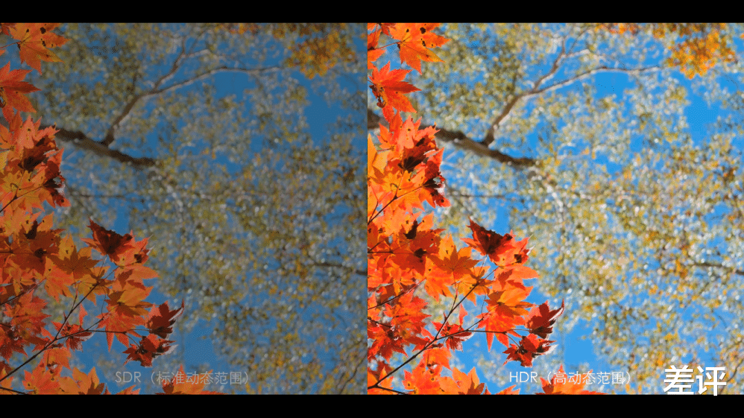 |为了让UP主们拍出大片,B站又拔高了数毛画质