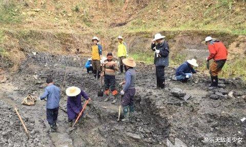 化石▲考古专家再次挖掘龙王井，又获重大发现，收获满满