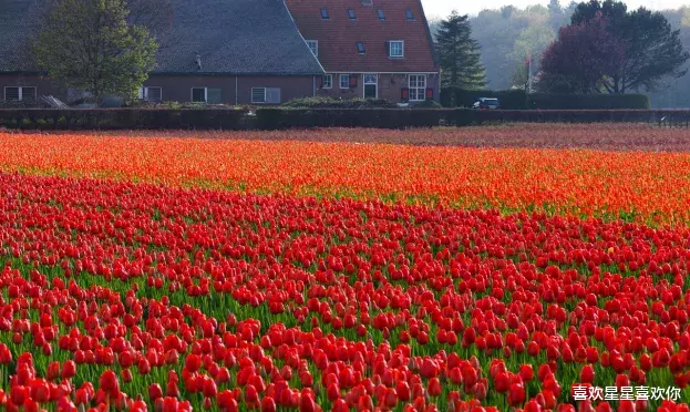 运势|从7月13日开始，运势上升，鸿运当头，财神相逢的生肖