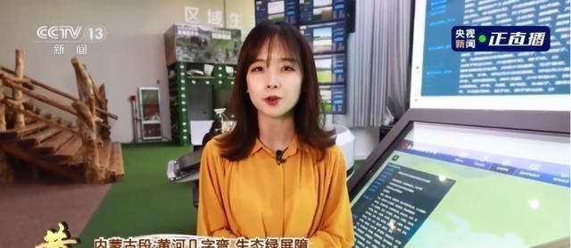 央视|央视记者王冰冰因美貌被刷屏，她的衣服却太过大胆，谁还会看新闻