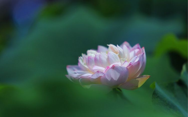 运势|10月下旬,运势逆转,事业爱情将会遇新转机的四大星座