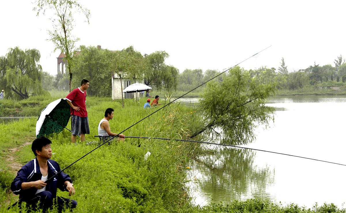 鲫鱼|明白7种“无口”的原因,才不会去喂鱼!有一种很容易钓到大物