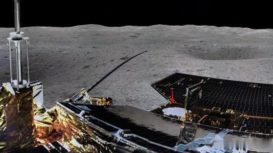 [月球]最新照片显示：荒芜的月球环境下生长出了第一片绿叶