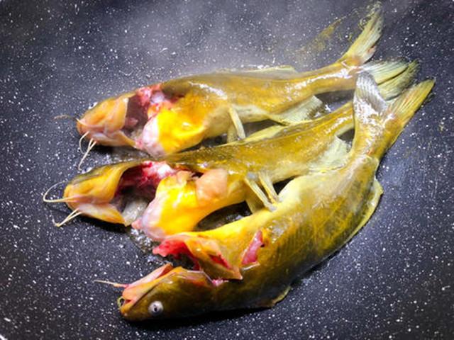 鱼汤|无论炖“什么鱼”都别放它俩，很多人都喜欢放，难怪鱼又腥又柴！