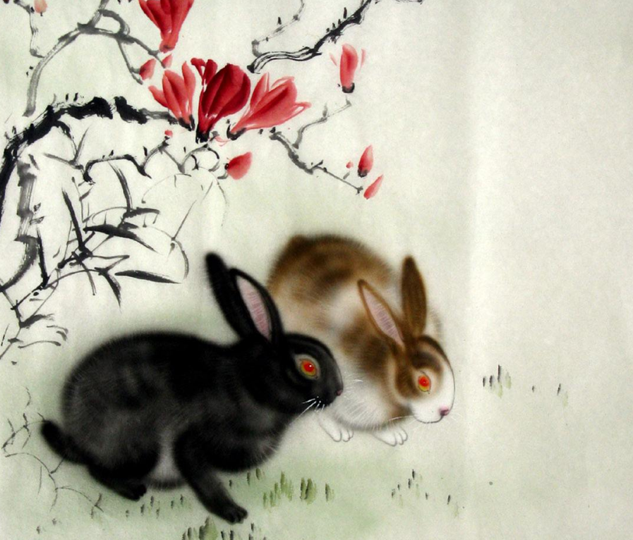 属兔人，1月17日很危险，有怪事，请小心，过后一顺百顺！