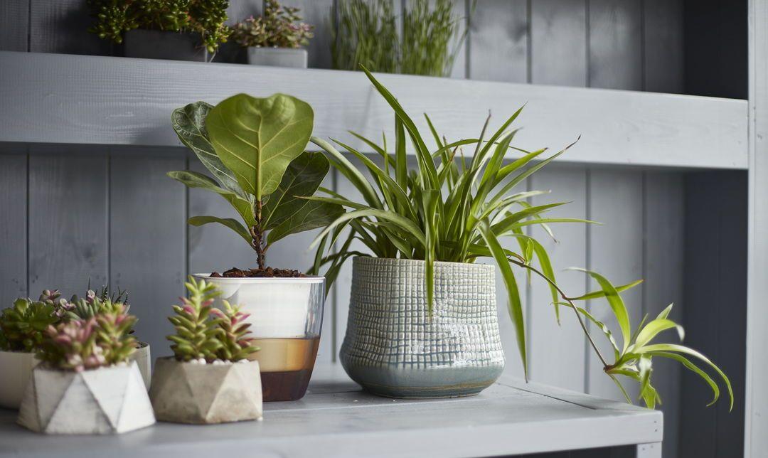 热水器@89㎡，不做吊顶不做背景墙，反而更耐看，晒晒