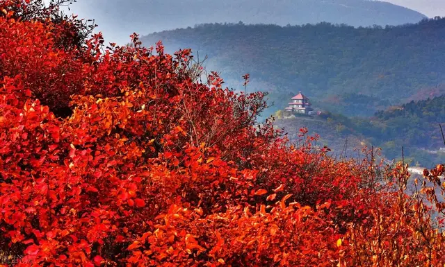 香山|秋天一定要来这几个地方玩，真的很美，又划算