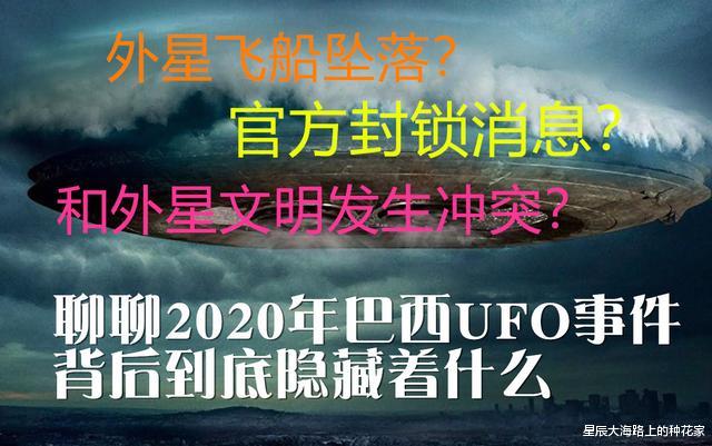 『哺乳动物』2020年世界各地都频繁出现UFO，这是什么预兆？