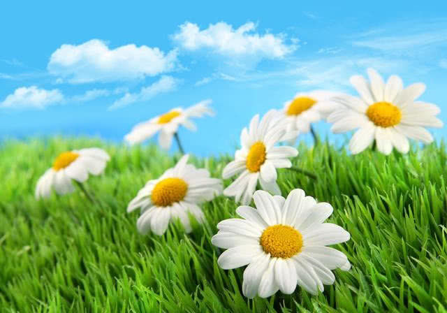 「生肖」6月尾，赚得到钱，3生肖前程光明，不是富贵就是掌权