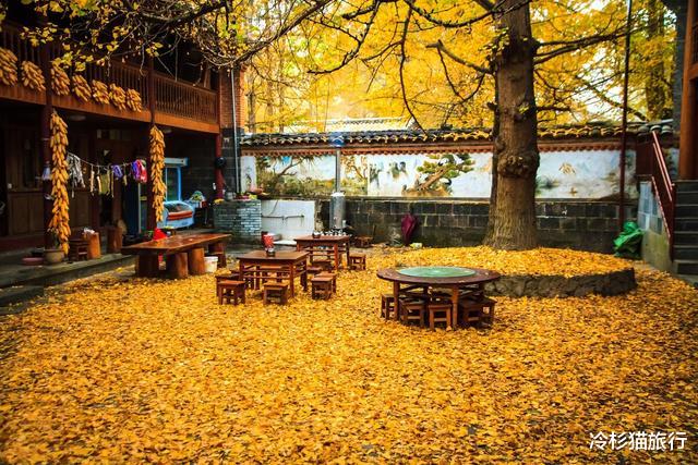 四川省|中国最美的35处秋景，去过20个已算旅游达人！