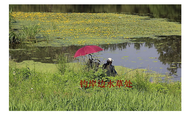 太湖▲这样选钓位，朋友夸你会钓鱼！