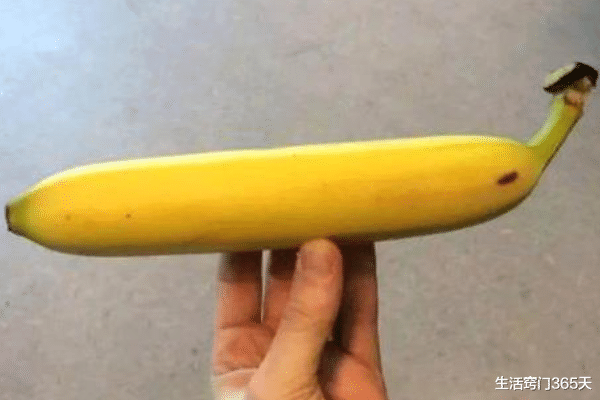 香蕉■买香蕉时，是买直的好还是弯的好？区别可大了，以后别再买错了！