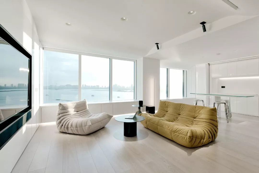 洁癖小哥的200㎡独居豪宅：智能控制家里一切，连狗都是电子的