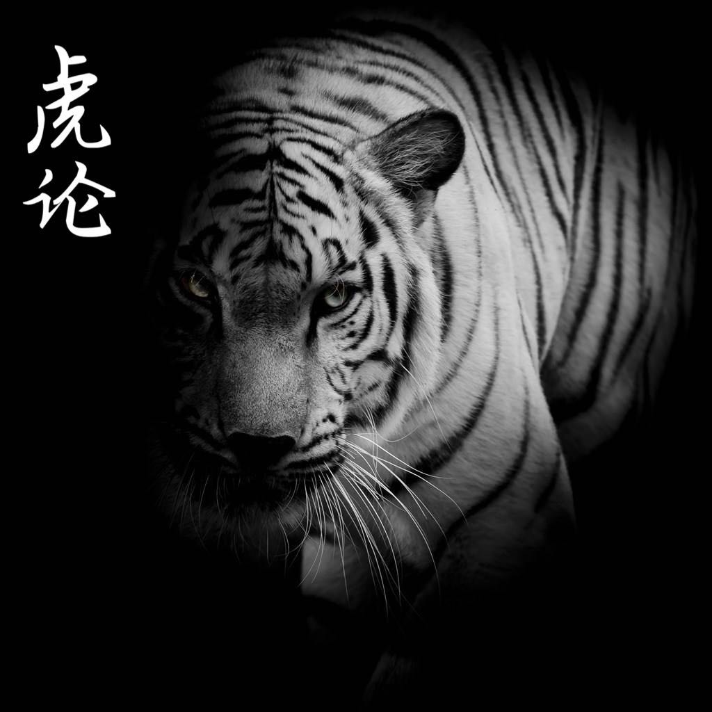 南海|假如南海起了冲突,俄罗斯会采取什么样的行动?美方早已心知肚明