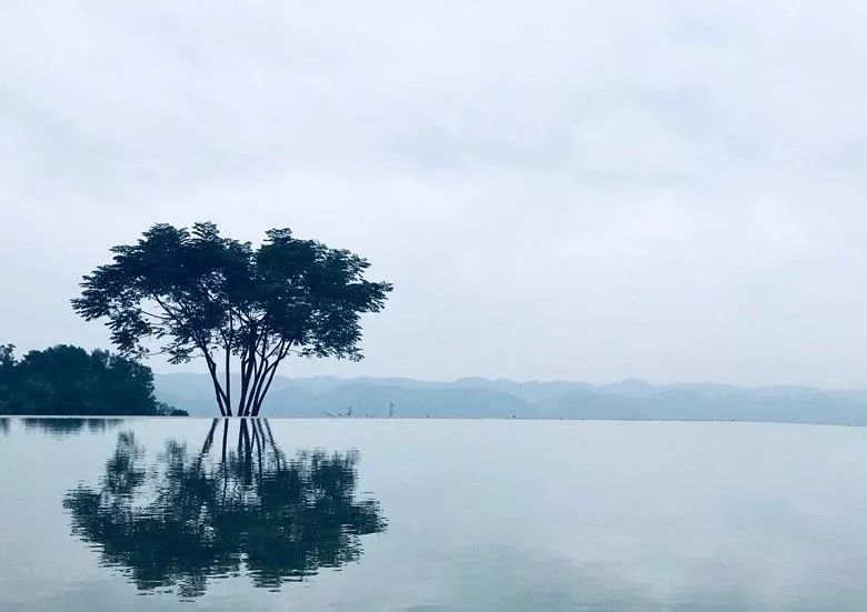 「重庆」在最美的季节,打卡主城隐秘的净土